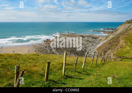 Spekes Mill Mouth in der Nähe von Hartland Quay an der North Devon Heritage Coast. Devon, England. Stockfoto