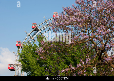 Österreich, Wien II, Prater, Vergnügungspark Wurstelprater, Riesenrad, Wahrzeichen Wiens Stockfoto