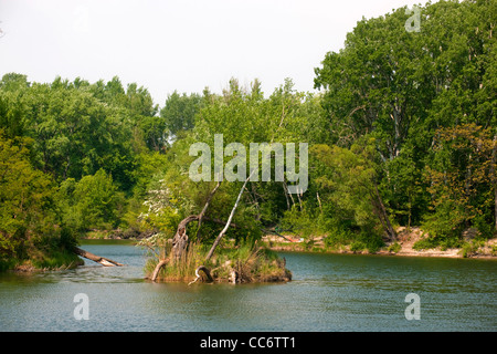 Österreich, Wien 22, Erholungsgebiet Lobau Im Nationalpark Donau-Auen Stockfoto