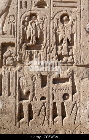 Blick auf überschrieben Kartusche auf dem ersten Pylon am Tempel des Pharao Ramses III, Medinet Habu, West Bank, Luxor, Ägypten Stockfoto