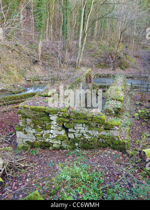 Reste der Wheelpit, die eine riesige 40-Fuß-Wasser-Rad, zum Pumpen von Wasser aus dem Glan Alyn Mine in den 1860er Jahren untergebracht Stockfoto