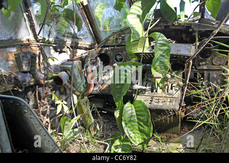 Interieur Cockpit-Ansicht des abgestürzten russisches Flugzeug im peruanischen Amazonas-Reben und Pflanzen wachsen außer Kontrolle Stockfoto