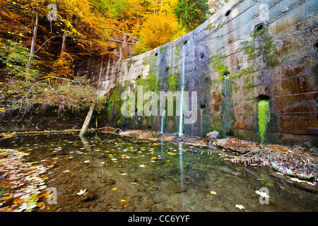 Landschaft mit einer alten Wand mit Wasser durchströmt und Flechten Stockfoto