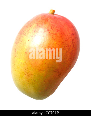 Eine Mango-Frucht, isoliert auf weiss Stockfoto