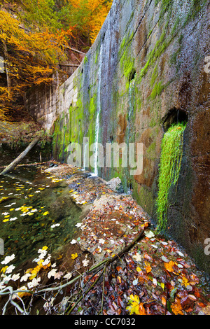 Landschaft mit einer alten Wand mit Wasser durchströmt und Flechten Stockfoto