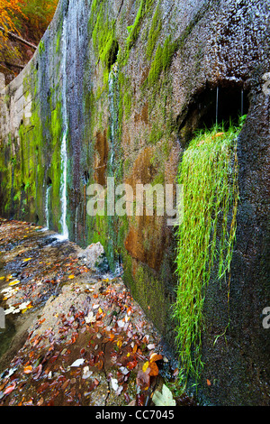 Landschaft mit einer alten Wand mit Wasser durchströmt und Flechten Stockfoto