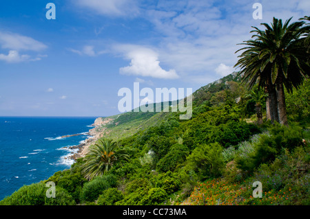 Cap Spartel Tanger, Marokko, Nordafrika Stockfoto