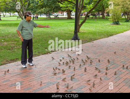 Ein Mann in einem Park Vögel füttern Stockfoto
