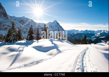 Panorama über Grindelwald, Schweiz im winter Stockfoto