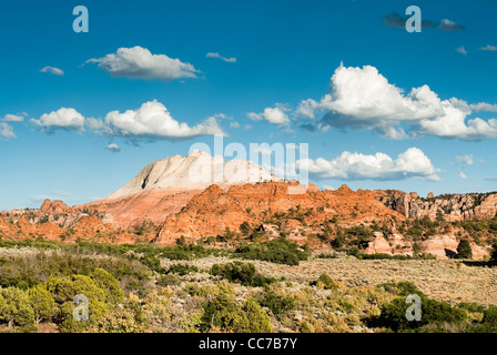 Sandstein-Klippen auf Kolob Plateau in Zion Nationalpark Stockfoto