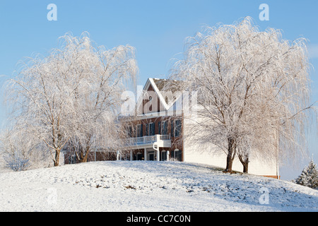 Schneebedeckte Trauerweide Bäume Rahmen ein modernen Einfamilienhauses in Vororten Stockfoto