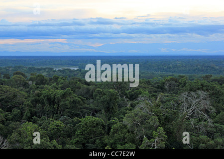 Primären Regenwald betrachtet aus der Luft mit dem Madre De Dios und der Anden im Hintergrund (Peru) Stockfoto
