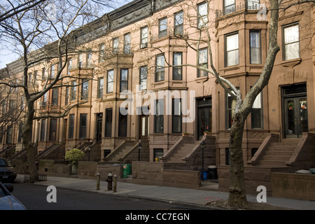 Klassische Hohe Stoop Brownstone Gebäude in Park Slope, Brooklyn, New York Stockfoto