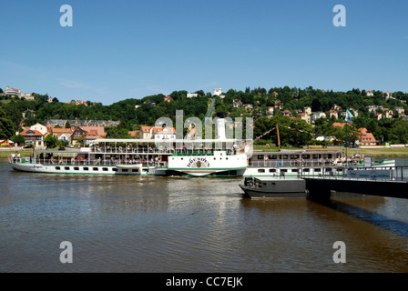 Historischen Raddampfer auf der Elbe in Dresden. Stockfoto