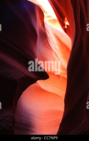 Unteren Antelope Slotcanyon, Navajo-Reservat, Page, Arizona, USA Stockfoto