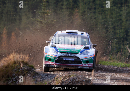 Aktion von Wales Rallye GB 2011 - Jari-Matti Latvala des Ford World Rally Team Stockfoto