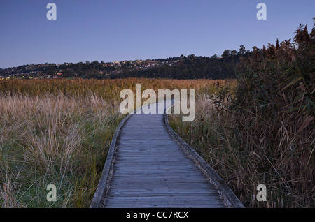 Promenade, Tamar Insel Feuchtgebiete, Tasmanien, Australien Stockfoto