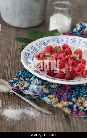 Nahaufnahme von Himbeeren in einen Teller mit einer Milchkanne Stockfoto