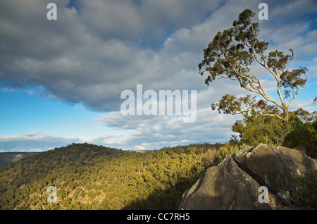 Ettrema Wilderness Area, Morton Nationalpark, New South Wales, Australien Stockfoto