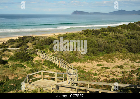 Gehweg, Bruny Island, Tasmanien, Australien Stockfoto