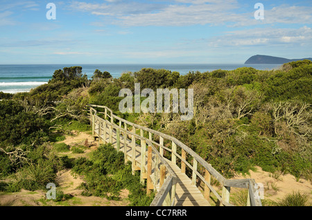 Gehweg, Bruny Island, Tasmanien, Australien Stockfoto