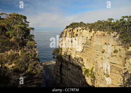 Teufel Küche, Tasman National Park, Tasman Halbinsel, Tasmanien, Australien Stockfoto