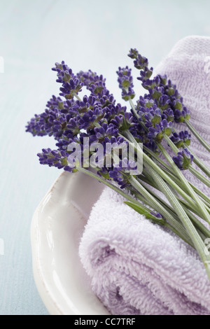 Nahaufnahme von Lavendel und Handtuch Stockfoto