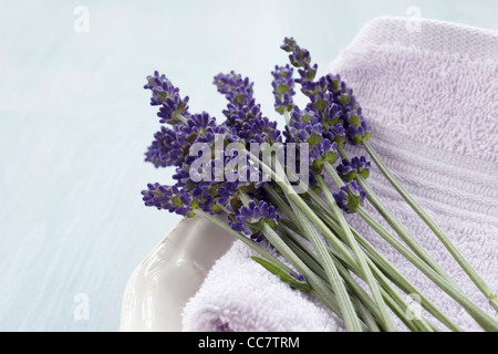 Nahaufnahme von Lavendel und Handtuch Stockfoto