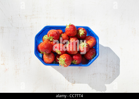 Behälter mit Erdbeeren Stockfoto