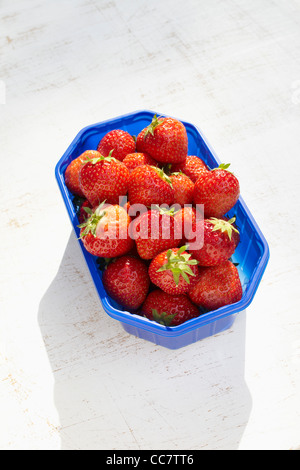 Behälter mit Erdbeeren Stockfoto