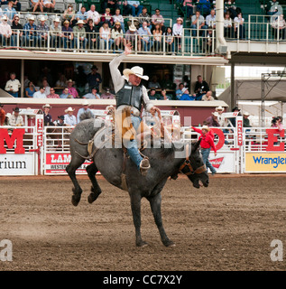 Bareback Rodeo Event bei der Calgary Stampede in Kanada Stockfoto