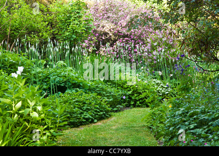 Einen grasbewachsenen Weg zwischen Strauch und Staude Grenzen in einem englischen Herrenhaus Garten im Frühsommer in Wiltshire, England, UK Stockfoto