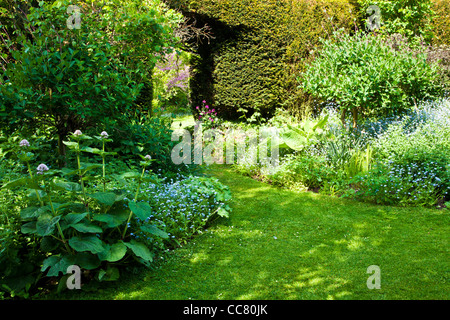 Einen grasbewachsenen Weg zwischen Strauch und Staude Grenzen in einem englischen Herrenhaus Garten im Frühsommer in Wiltshire, England, UK Stockfoto