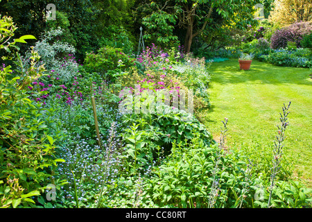 Einen grasbewachsenen Weg zwischen Strauch und Staude Grenzen in einem englischen Herrenhaus Garten im Frühsommer in Wiltshire, England, UK Stockfoto