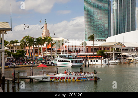 Ausflugsschiffe in der Marina am Bayside Marketplace, Downtown Miami, Florida, USA Stockfoto