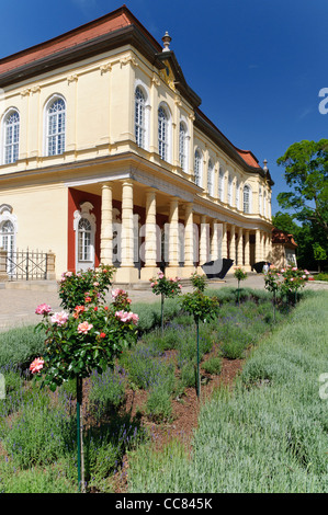 Garten-Salon, Schlossgarten, Orangerie, Schloss Merseburg, Sachsen-Anhalt, Deutschland, Europa Stockfoto