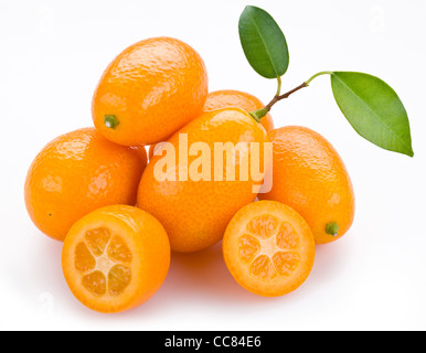 Kumquat Zitrusfrüchte auf weißem Hintergrund Stockfoto