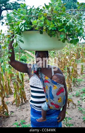 Eine sambische Frau und ihr Baby wieder von der Arbeit in den Bereichen. Stockfoto