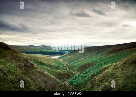 Blick auf Kinder Reservoir von William Clough, Peak District National Park, Derbyshire, England, UK Stockfoto