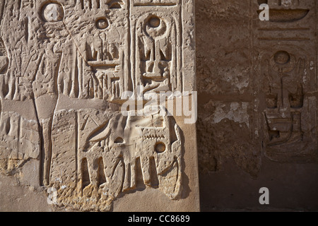 Überschriebenen Reliefs auf den ersten Pylon am Tempel des Pharao Ramses III, Medinet Habu, West Bank, Luxor, Ägypten Stockfoto