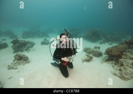 Taucher wartet ein riesiger Manta (Manta Birostris) in der Nähe der Manta Reinigungsstation Stockfoto