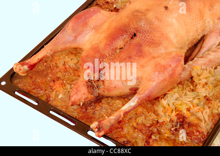 Gänsebraten für Weihnachtsbäckerei mit Sauerkraut und Kartoffeln Stockfoto