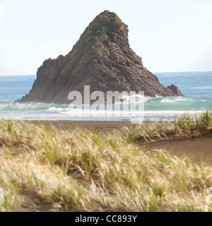 schwarzer Sand, Rasen und Surf Karekare Kare Kare Strand Waitakere Ranges National Park Auckland Nordinsel Neuseeland Stockfoto