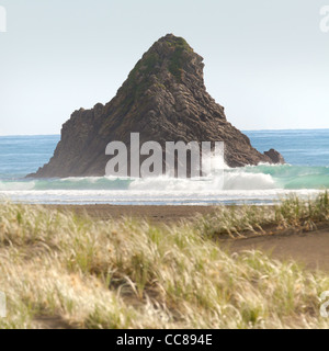 schwarzer Sand, Rasen und Surf Karekare Kare Kare Strand Waitakere Ranges National Park Auckland Nordinsel Neuseeland Stockfoto