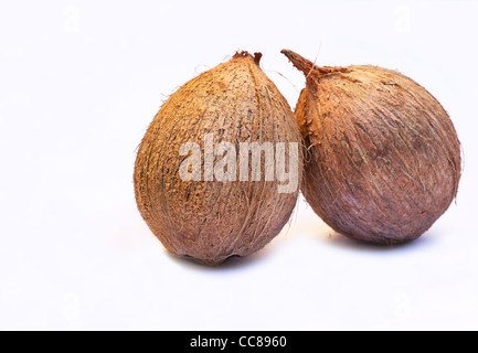 Nahaufnahme von zwei Kokosnüssen auf weißem Hintergrund Stockfoto