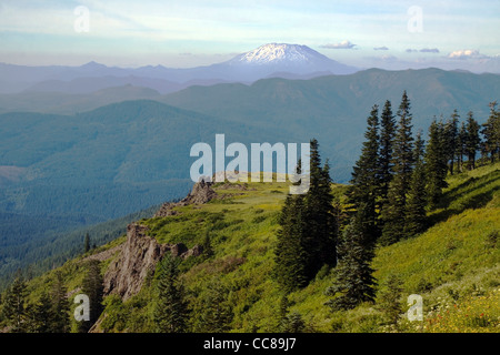 Blick auf die Washinton Mt. St. Helens Volcano Stockfoto