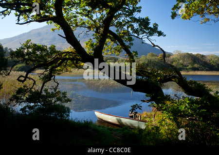 Angeln Boot am Ufer des Lough Maladrolaun, neben Kylemore House, Connemara, County Galway, Irland. Stockfoto