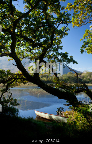 Angeln Boot am Ufer des Lough Maladrolaun, neben Kylemore House, Connemara, County Galway, Irland. Stockfoto