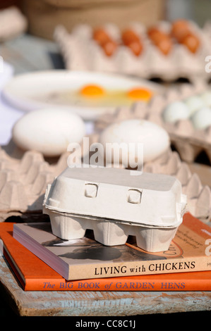 Nachschlagewerke als ein Poultryman gibt einen Vortrag über Hühnerhaltung in einem Kleinbetrieb-Kurs bei Daylesford Organic Farm Stockfoto