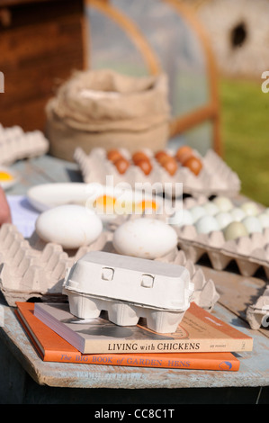 Nachschlagewerke als ein Poultryman gibt einen Vortrag über Hühnerhaltung in einem Kleinbetrieb-Kurs bei Daylesford Organic Farm Stockfoto